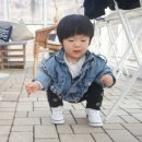 미니맘 네이버블로그
