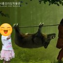 시흥오이도박물관 | 📍 시흥 오이도박물관 방문 후기! 6세 아이와 함께한 여름방학 나들이