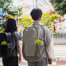 서울삼일초등학교 이미지