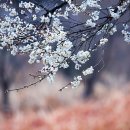 소담기획인쇄