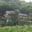 솔향기펜션 이미지