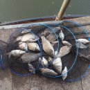 석곡낚시터 이미지