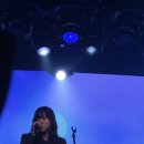 롤링홀 | 펑키 락발라드에는 행운이 있다 - 2026 보라미유 콘서트 롤링홀 후기3편 ＃세상 모든 어른이들에게