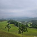 백제컨트리클럽(주) | 충남 부여 백제컨트리클럽 백제cc 라운딩 후기
