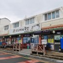 진도현대미술관 티스토리