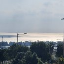 서호동-3 이미지