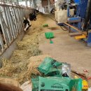 새일목장 이미지