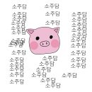 '프로듀스 101 시즌2' 탈락 연습생들 데뷔 예정 및 데뷔 현황 (스압) 이미지