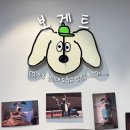 보게트 | [경남/진주] 가볼 만한 곳 경상대 소품샵 보게트
