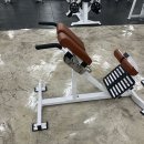 더바디스쿨 화원 이미지