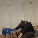 일요일(특별) | 목동 강아지요가 클래스 후기 | 일요일 힐링, 반려견과 함께한 특별한 시간