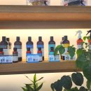 서구애견센타 이미지