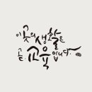감사랑리더십 태권도장 메트로지점 이미지