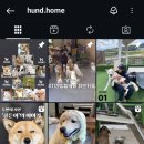 카페훈트 이미지