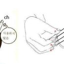 우크&기타 이미지