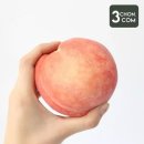달콤삼촌