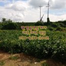 노신공인중개사사무소 이미지