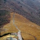 200108 신불산 (배내고개-간월산-신불산-신불재-신불산 자연휴양림-배내종점) 이미지