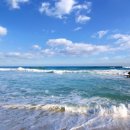 까르디에A 이미지