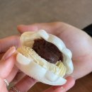 까치섬한옥 | [경주⭐황남] 황리단길 카페 한옥이 멋스러운 까치섬 방문 후기!