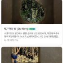 (주)길가옆에 이미지