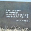 김우용「동백꽃」 이미지