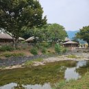 외암마을 | 아산 가을 여행 유네스코 지정된 곳으로 산책하기 좋은 외암민속마을 방문 후기