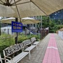 신호원 | 단양 여행 가볼만한곳 2편(만천하스카이워크, 잔도, 수양개빛터널)