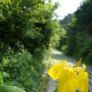 선배네농장 이미지