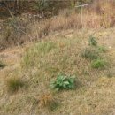 만취정로 이미지