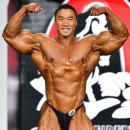 한국보디빌더마스터 이미지