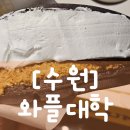 와플스타 | [수원] 스타필드 와플대학 3월 팝업 두바이 시리즈 내돈내산 솔직후기