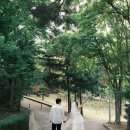 픽스칼프by연 | W8. 대구연리스냅 촬영후기(모두 연리하세요 .. 🤍)