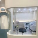 하이!털찌니들 이미지