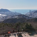 엄광산 동구경계 이미지