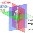 피티스미스 네이버블로그