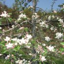 김종화농장 이미지