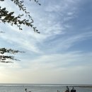 수미과일 이미지