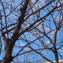 경희세탁소 이미지