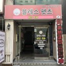 대전펫츠