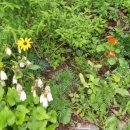 은지가든 이미지