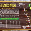회남재 숲길 이미지