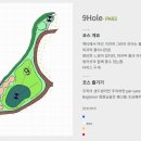 나인스타 이미지