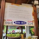 지리산수라간 | 맛집, 화엄사, 천은사, 사성암 추천 맛집,(지리산수라간)강된장과 육회비빔밥, 도토리묵 무침 맛 좀 보소