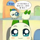 이파네마소녀