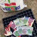 차덕수농장 네이버블로그