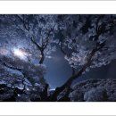 적석사 - 988 | 적석사