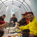 죽림5로 Daum카페