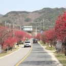 남일면 뉴스세상