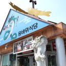 용대1리 | [인제맛집] 용대리 황태해장국 전문점 용바위식당 후기 / 아침에는 역시 황태해장국